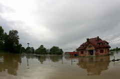 A resident awaits emergency services at his house in the flooded village of Juliszew May 24, 2010.[China Daily/Agencies]