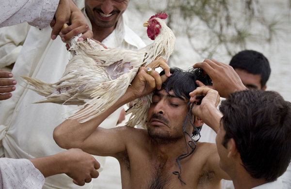 Residents help a man untie a chicken from his neck after he evacuated his flooded home with the fowl by swimming to higher grounds in Nowshera, located in Pakistan&apos;s northwest Khyber-Pakhtunkhwa Province August 1, 2010. [Xinhua]