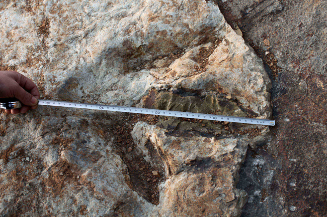 Photo taken on Aug. 9, 2010 shows a 40-centimeter-long dinosaur footprint fossil in the Huanglonggou area of Huanghua Township in Zhucheng City, east China&apos;s Shandong Province. [Xinhua]