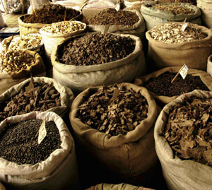 Medicinal plants' market. Chengdu, Sichuan Province, China.