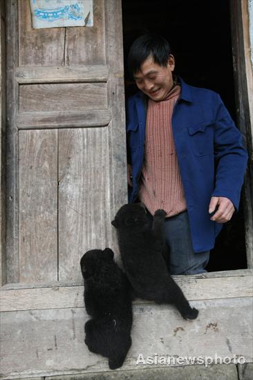 Tian Shougui plays with the twin bears he adopted, in Yukong village, Southwest China's Sichuan province, April 12, 2011.