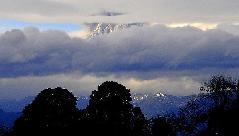 Smoke and ash billowing from Puyehue volcano is seen near Osorno city in southern Chile June 4, 2011.