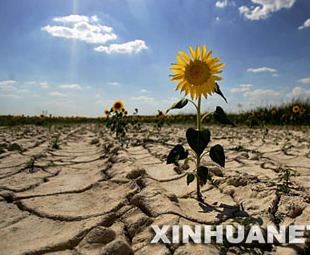 Chinese experts will provide anti-desertification training to the government officials of Africa on the occasion of the 18th World Day to Combat Desertification.