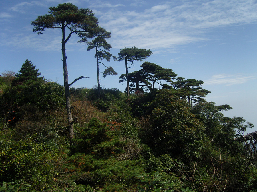 Located to the northeast of Shangrao City, Jiangxi Province, Mt. Sanqingshan was inscribed on UNESCO's World Heritage List. The granite landforms are the most valued component of Sanqingshan landscape.