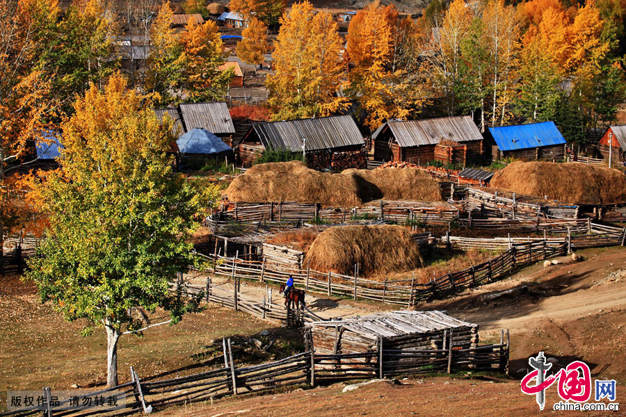 Located within the Kanas Lake scenic area in the north of Xinjiang, Hemu, one of the six most beautiful villages in China, is a rather primitive village. Here, visitors can enjoy the snow mountain, icy lake, grassland and primitive Tuwa minority village whom lived there thousand years. The beautiful scenery of Hemu Village in the early winter has attracted many tourists.[China.org.cn]